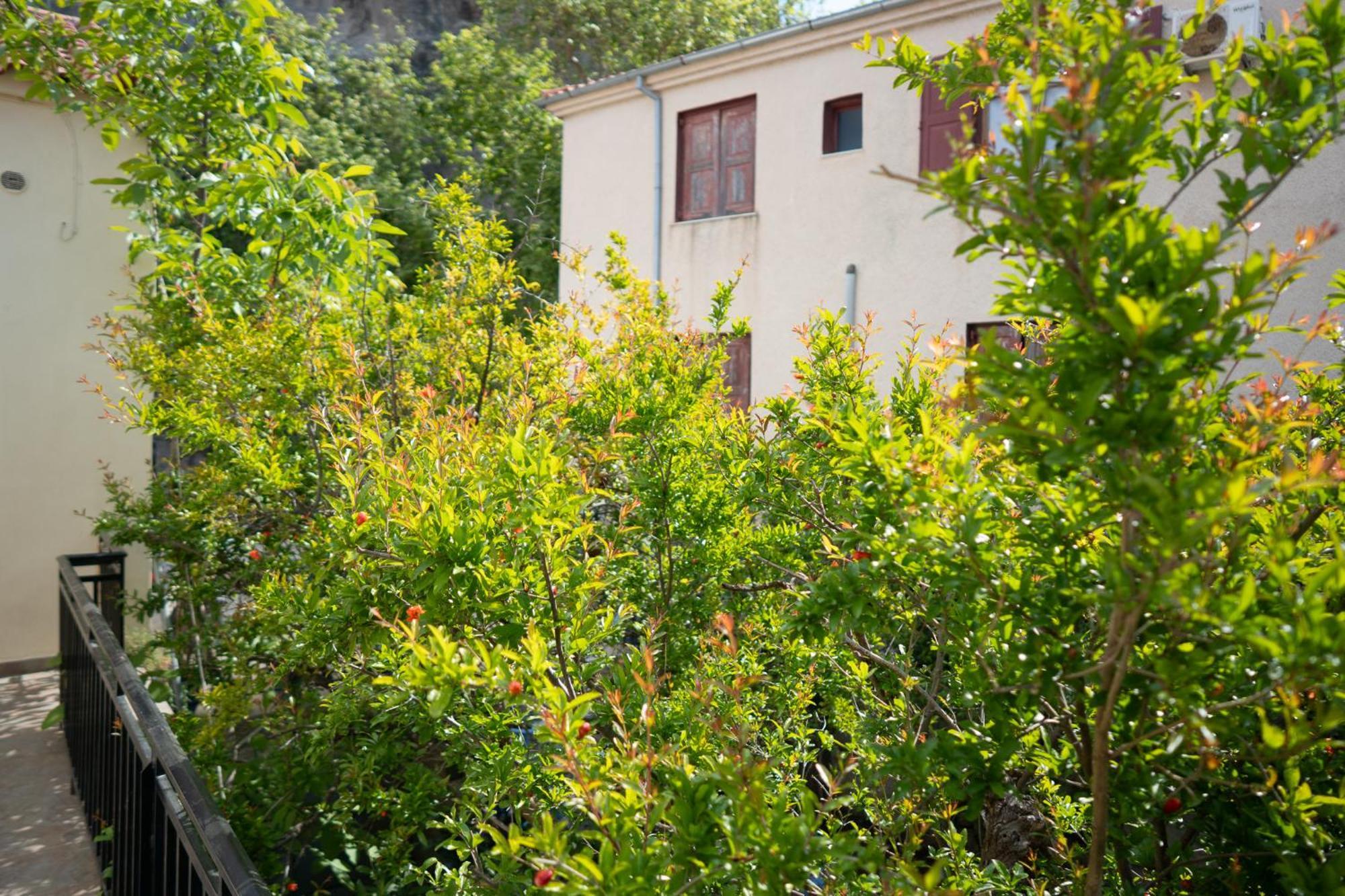 Jasmine House By Panagia Of Petra Daire Dış mekan fotoğraf